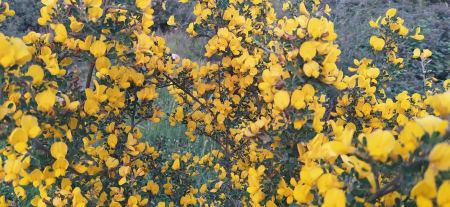 حالة الطقس لهذا اليوم 